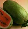 v_watermeloncharleston.jpg
